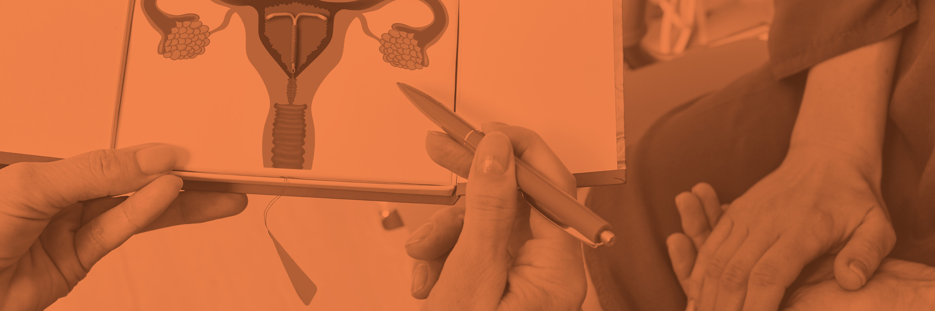 Model uterus and IUD